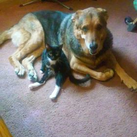 Profile Picture of Mackenzie Raymond (@maackenzieraymo) on Pinterest