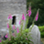 Profile Picture of Nicole Hughes (@nicole.edith) on Flickr