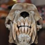 Profile Picture of Roland Schmidt (@roland.schmidt.capetown) on Instagram