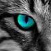 Profile Picture of Casey Raymond (@22raymondc0262) on Pinterest