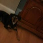 Profile Picture of thomas robey (@robey.thomas) on Instagram