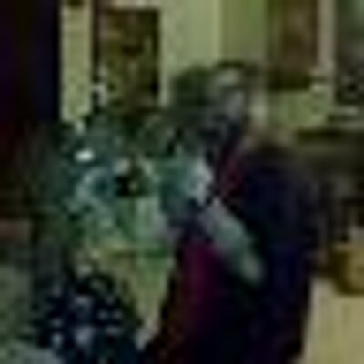 Profile Picture of Joshua Reiman (@Who_Flung_Dung) on Twitter