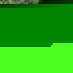 Profile Picture of Denny Victor Lado (@dennomeidy) on Myspace