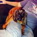 Profile Picture of Brian Ruyle (@bkruyle) on Pinterest