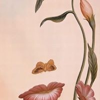 Profile Picture of Christopher Hernandez (@christopher-hernandez-280) on Quora