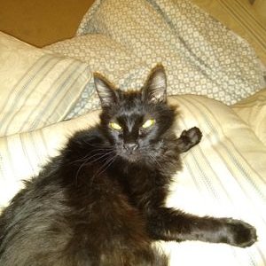 Profile Picture of Charles Mathis (@Charles91313941) on Twitter