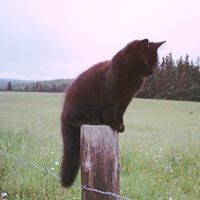 Profile Picture of Sandy Chase-rockwell (@sandy-chase-rockwell) on Quora