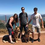 Profile Picture of Dino (@mdeanvincent) on Instagram