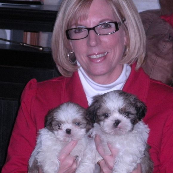 Profile Picture of Sandy Swanson (@sandy_swanson) on Poshmark