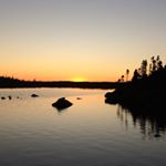 Profile Picture of Diana Marie Moores Lewis (@dmwllewis) on Instagram