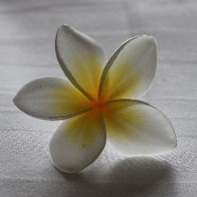 Profile Picture of DocLinou (@Linou_922) on Twitter