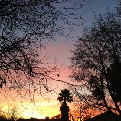 Profile Picture of Bob Turney (@BobTurney10) on Twitter