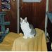 Profile Picture of Delbert Mason (@Delbert-Mason) on Facebook