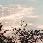 Profile Picture of Esmilia Gracia (@Esmilia-Gracia) on Facebook