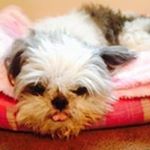 Profile Picture of Pauline Watts (@watts5144) on Instagram