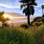 Profile Picture of Nancy Zarcufsky (@nancyzarcufsky) on Instagram