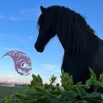Profile Picture of Chi horsing-Team | Alexandra König~Linda Ziegler (@saliho_school) on Instagram