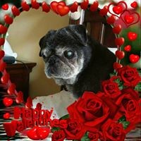 Profile Picture of Doris Phillips (@doris-phillips-9) on Quora