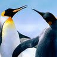 Profile Picture of Sandee Miller (@sandee-miller-5) on Quora