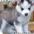Profile Picture of Scott Everitt (@scotteveritt73) on Pinterest