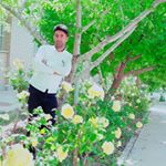 Profile Picture of فرشاد (@farshad_malek7290) on Instagram