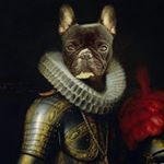 Profile Picture of Todd (@todd_obrien_) on Instagram