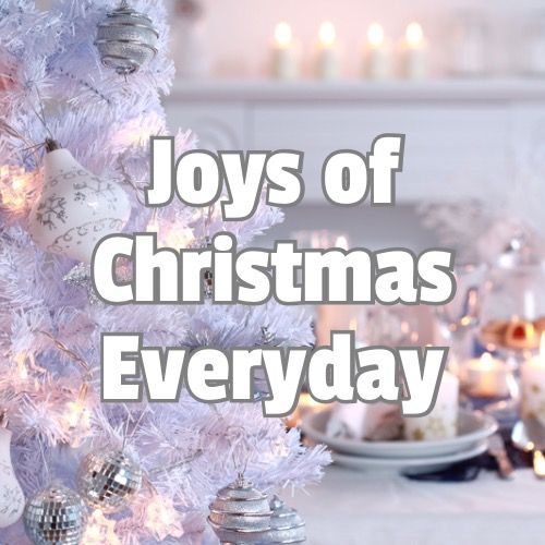 Joy Christmas - Tiktok Profile Picture of Joy Christmas (@joysofchristmaseveryday) on Tiktok