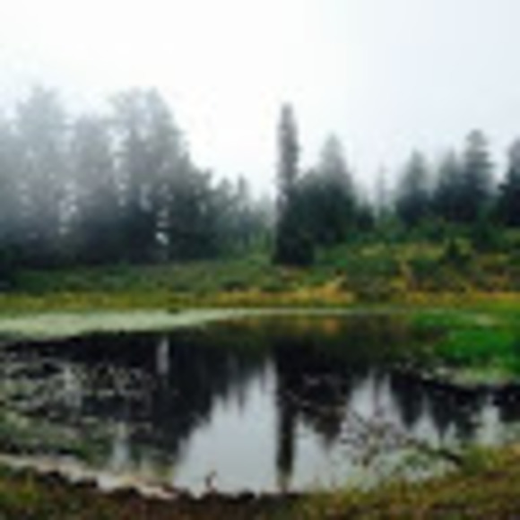 Jobie Bloxham - Poshmark Profile Picture of Jobie Bloxham (@jobiebloxham18) on Poshmark