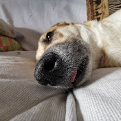 Profile Picture of Fernando Ros (@Elmarimbistachiflado) on Youtube