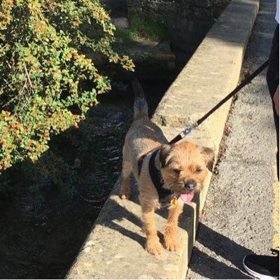 Profile Picture of Ginny Simpson (@DrivingSmile) on Twitter