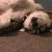 Profile Picture of Oscar Wolfe (@Oscar-Wolfe) on Facebook