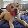 Profile Picture of John Teske125 (@@johnteske0) on Tiktok