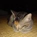 Profile Picture of Stefhanie Hopper (@stefhanie.hopper) on Facebook