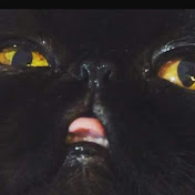 Profile Picture of Evan Mathews (@evanmathews4558) on Youtube