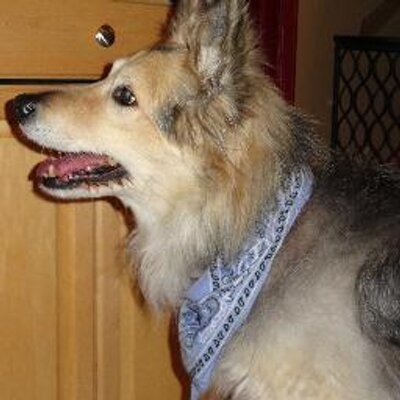 Profile Picture of Bill Treece (@billtreece1) on Twitter