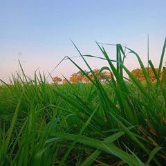 Profile Picture of Amr Barakat (@amr.barakat3) on Tiktok