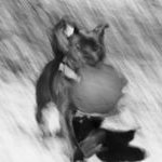 Profile Picture of Andrew Applewhite (@applewhiteprofessionalservices) on Instagram