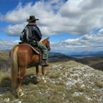 Profile Picture of گردشگری بر پایه اسب (@horse_tourism) on Instagram