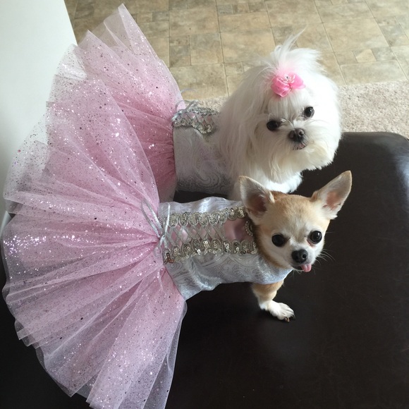 Profile Picture of Debra Koch (@dkoch1171) on Poshmark