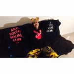 Profile Picture of Howard Zhao☻ (@howardzat) on Instagram