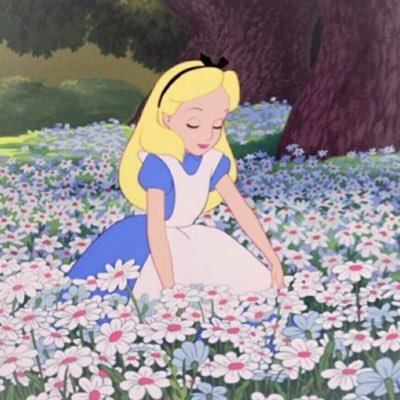 Profile Picture of Jocelynchow (@Jocelynchow1) on Twitter