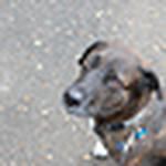 Profile Picture of Amy Posten (@a fish called amy) on Flickr