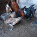 Profile Picture of Arturo Caldera (@arturo.caldera.507) on Facebook