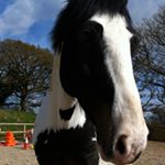 Profile Picture of Joshuaheffernan (@joshuahefferna05) on Instagram