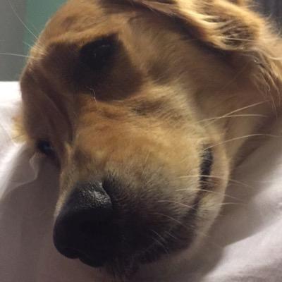 Profile Picture of Jackie Ledbetter (@PghJax) on Twitter