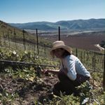 Profile Picture of April Kelley (@wine.operator) on Instagram