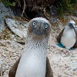 Profile Picture of Kristine Wilkinson (@kristinewilkinson92) on Instagram