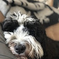 Profile Picture of Amelia Hoff (@amelia-hoff-3) on Quora