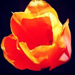 Profile Picture of Guillermo Hidalgo (@dreaminanalog) on Instagram