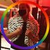 Profile Picture of Benjamin Lehrer (@ben.lehrer1) on Facebook